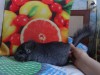 4 мес