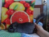 4 мес