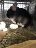 6 мес