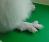 1мес
