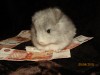 9 апреля 2019г (1 мес)