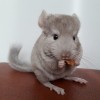 Лилу