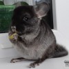 Нафаня