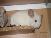 4 мес