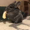 Марио