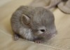 8 дней