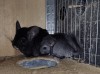 4 года 11 месяцев с Марго 
