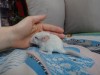 2 дня