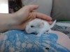 2 дня