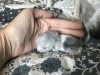 1 день 