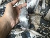 1 день 