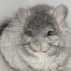 Наоки