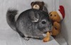 14.12.19