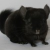 Арон