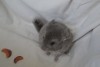 1 месяц