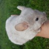 фунтик