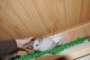 Томас