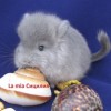 ЛаМиа Сицилия