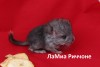 12 августа 2019г (5 дней)