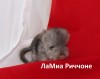 12 августа 2019г (5 дней)