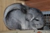 4мес через два дня