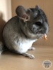 Маша