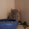 Квест 