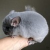 1 месяц 