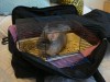 Марина (хозяйка) сама сшила нам сумочку)