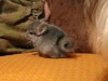 5 мес