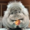 Саманта Хит