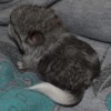 5 дней