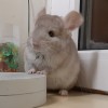 Рафаэль_Мун