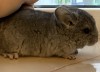 Каспер
