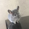 Махуня