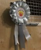 Серебряная лента 2011