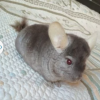 Петр