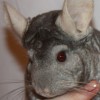 Нафаня