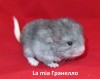 29 ноября 2019г