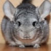Ларик