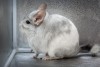 4 года 5 мес (10.02.24)
