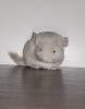 3 недели