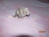 7 часов после рождения