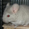Ребенок 2
