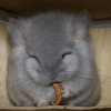 Пекин