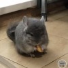 Лакки ЧинАльф