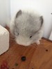 1 мес