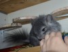 4мес 9дн