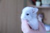 3 недельки и мой палец