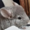 Кузя